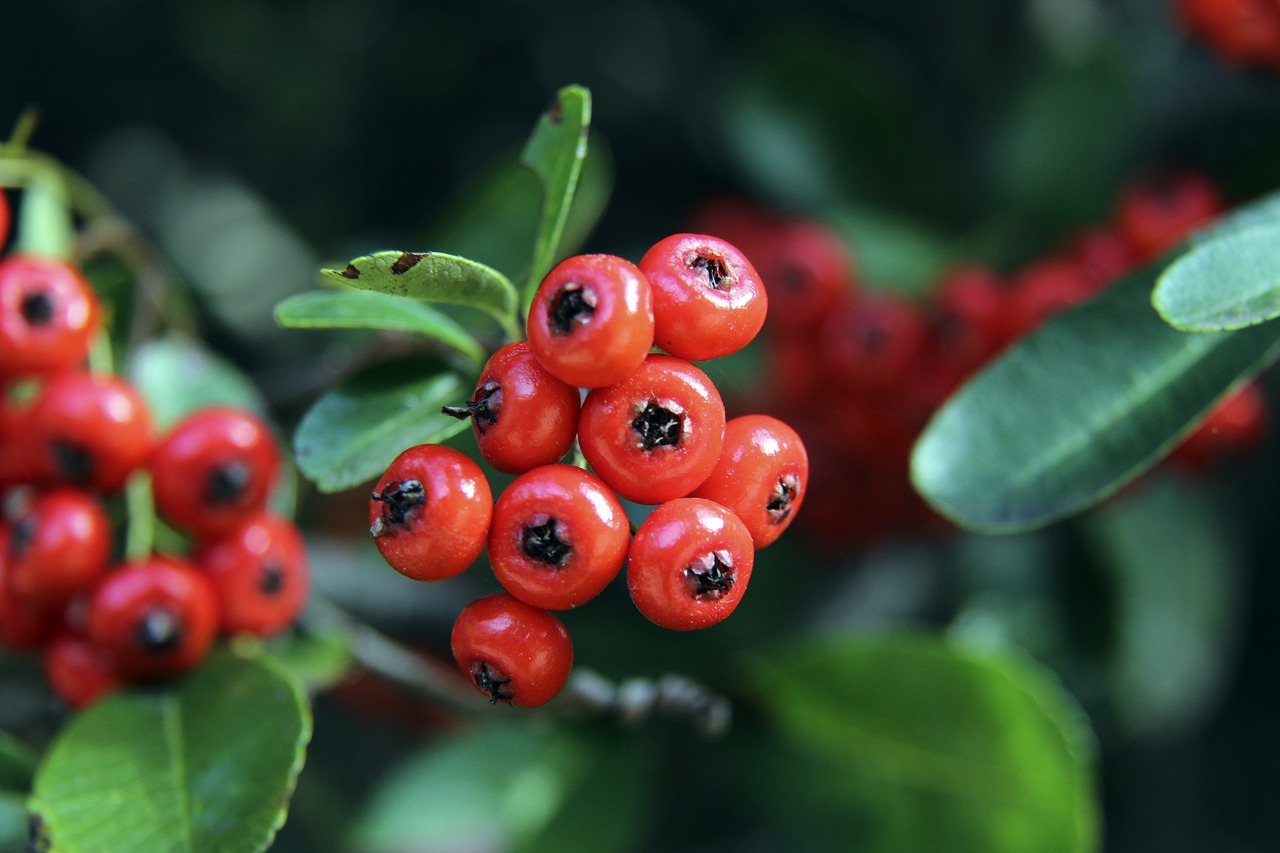 防守水平提 防守水平提