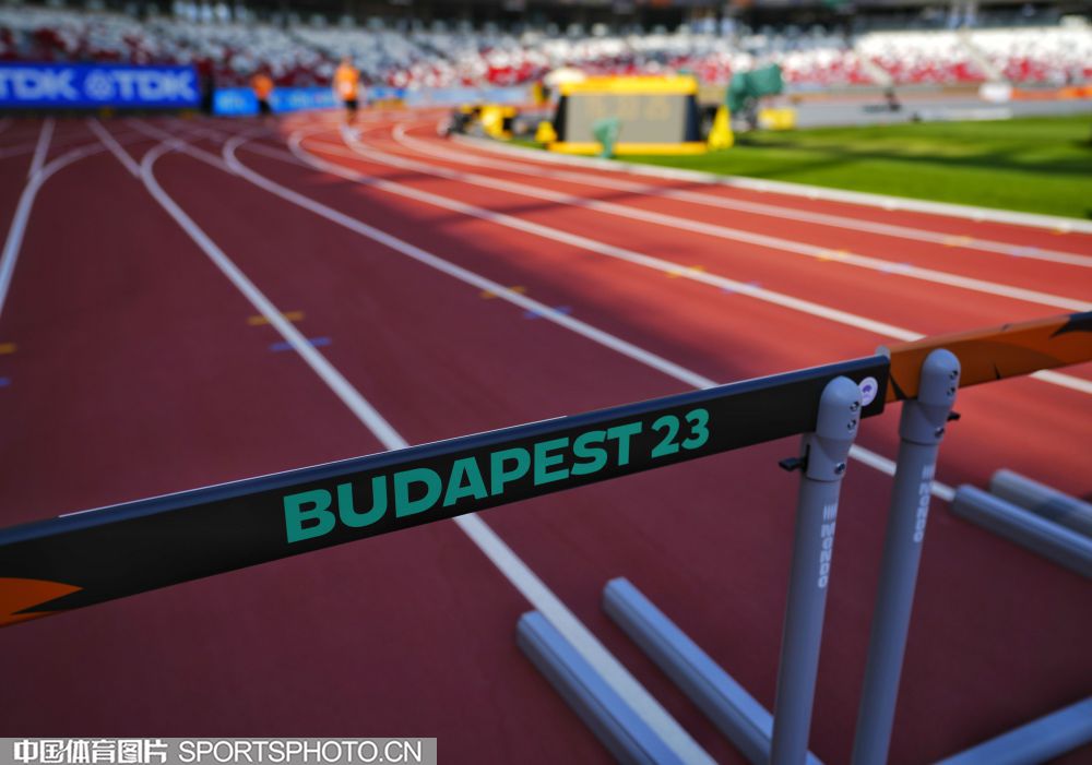 多样化的进 多样化的进