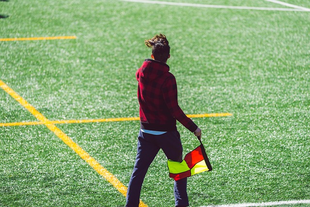 这一行为是 这一行为是